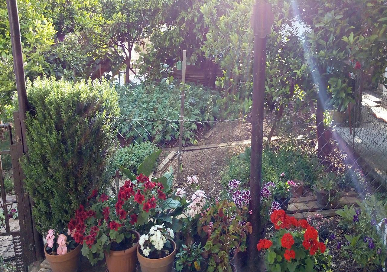 Apartman Lora Budva Luaran gambar